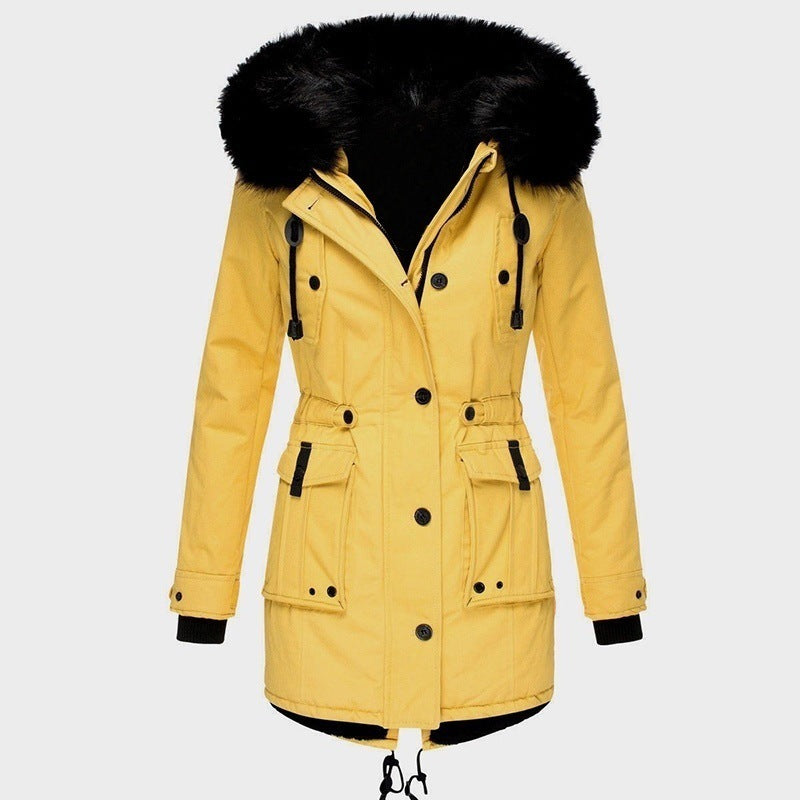 Casual Zip Jacket