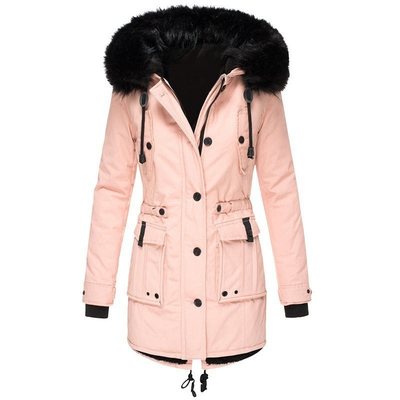 Casual Zip Jacket