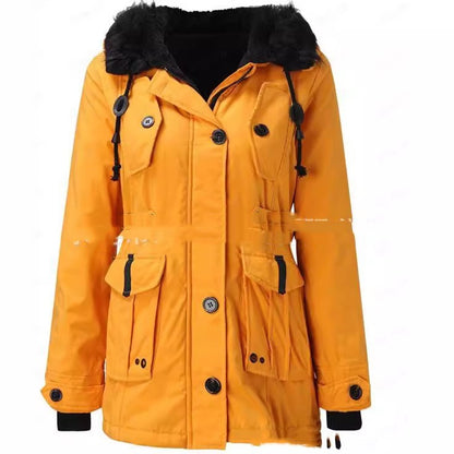 Casual Zip Jacket