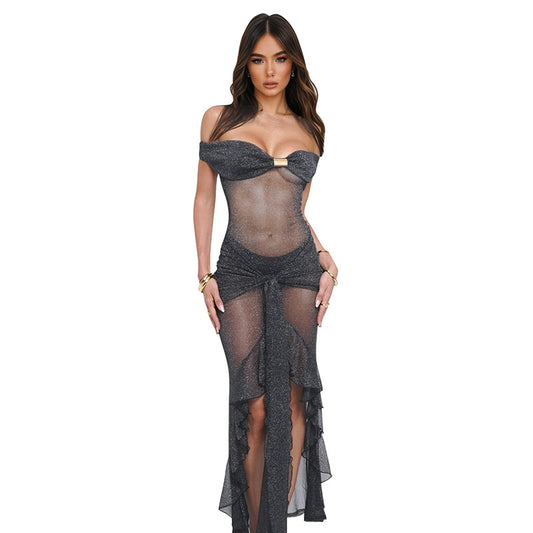 Silver Sheer Dress